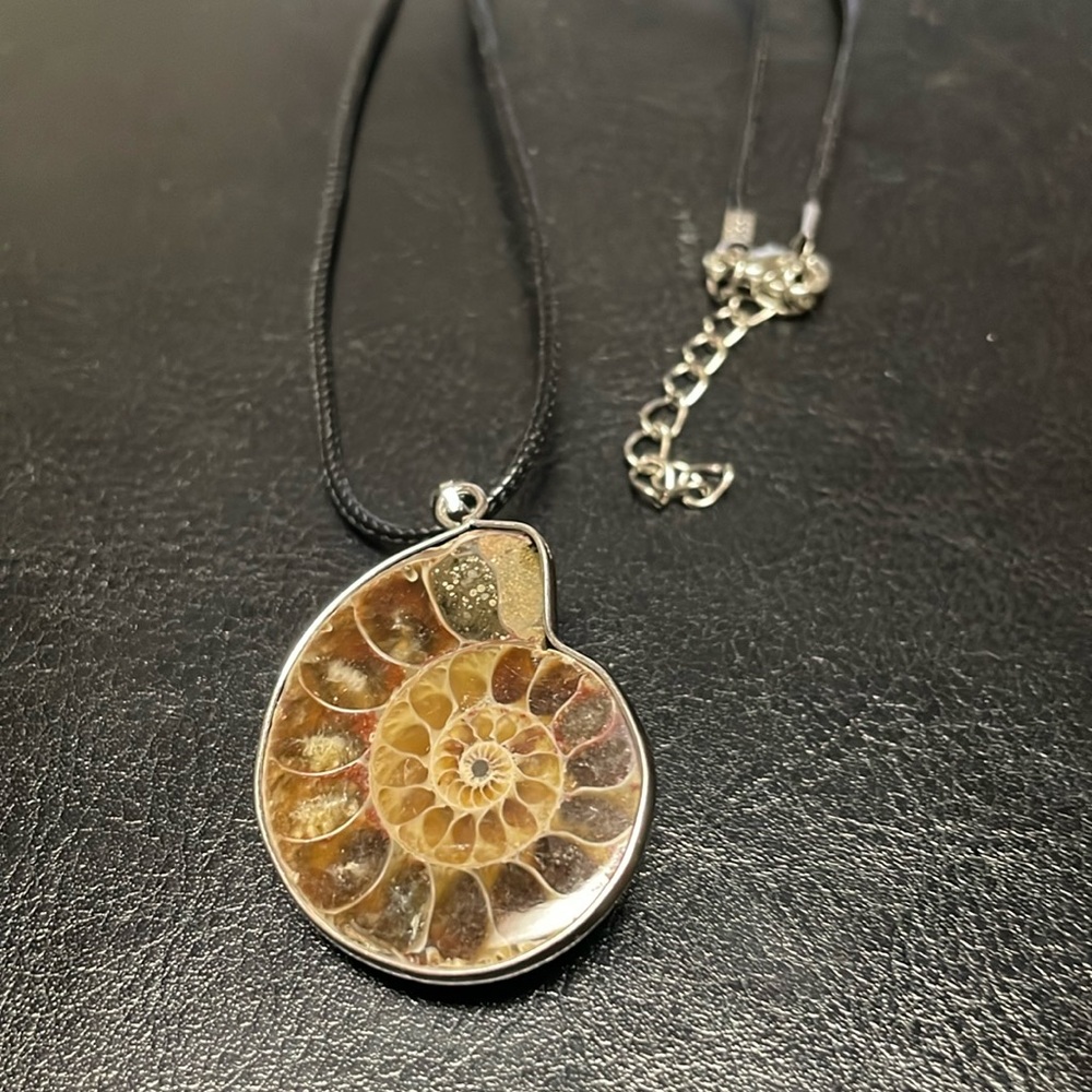 gastropod fossil pendant necklace